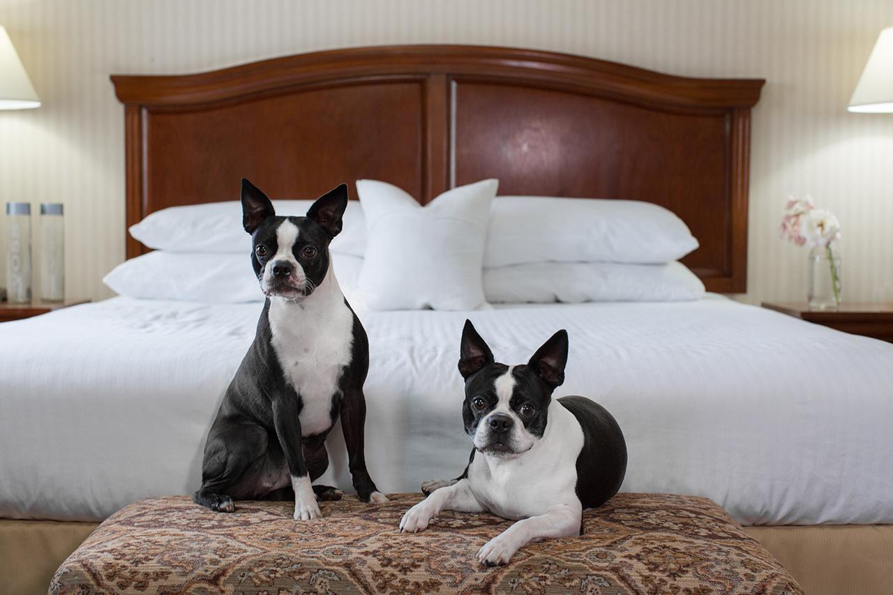Rogue Regency Inn&Suites Medford Buitenkant foto